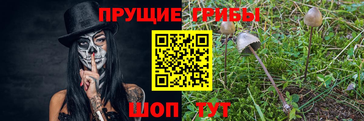 Псилоцибиновые грибы Magic Shrooms Ейск